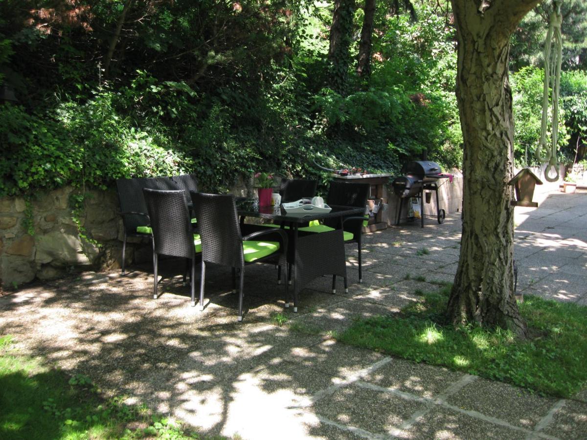 Danube View House With Garden Wien